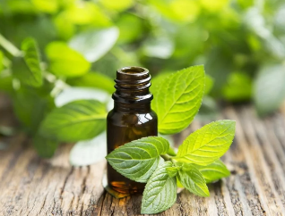 The peppermint oil