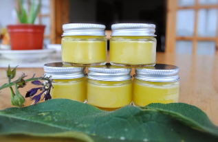 The ointment of honey and eucalyptus